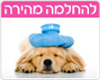 ברכות החלמה מהירה