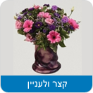 קצר ולעניין