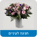 חגיגה לעיניים