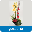 אדום בוהק